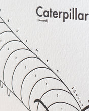 Caterpillar Print