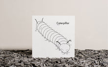 Caterpillar Print