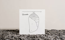 Chrysalis Print