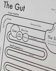 The Gut Print