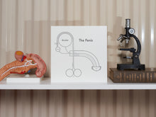The Penis Print