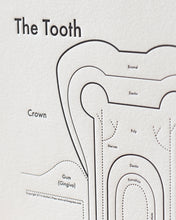 The Tooth Print