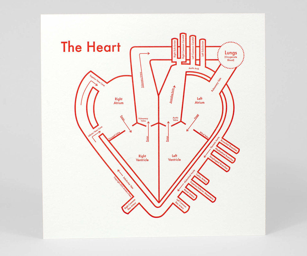 The Heart Print – Archie's Press