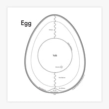 Egg.jpg