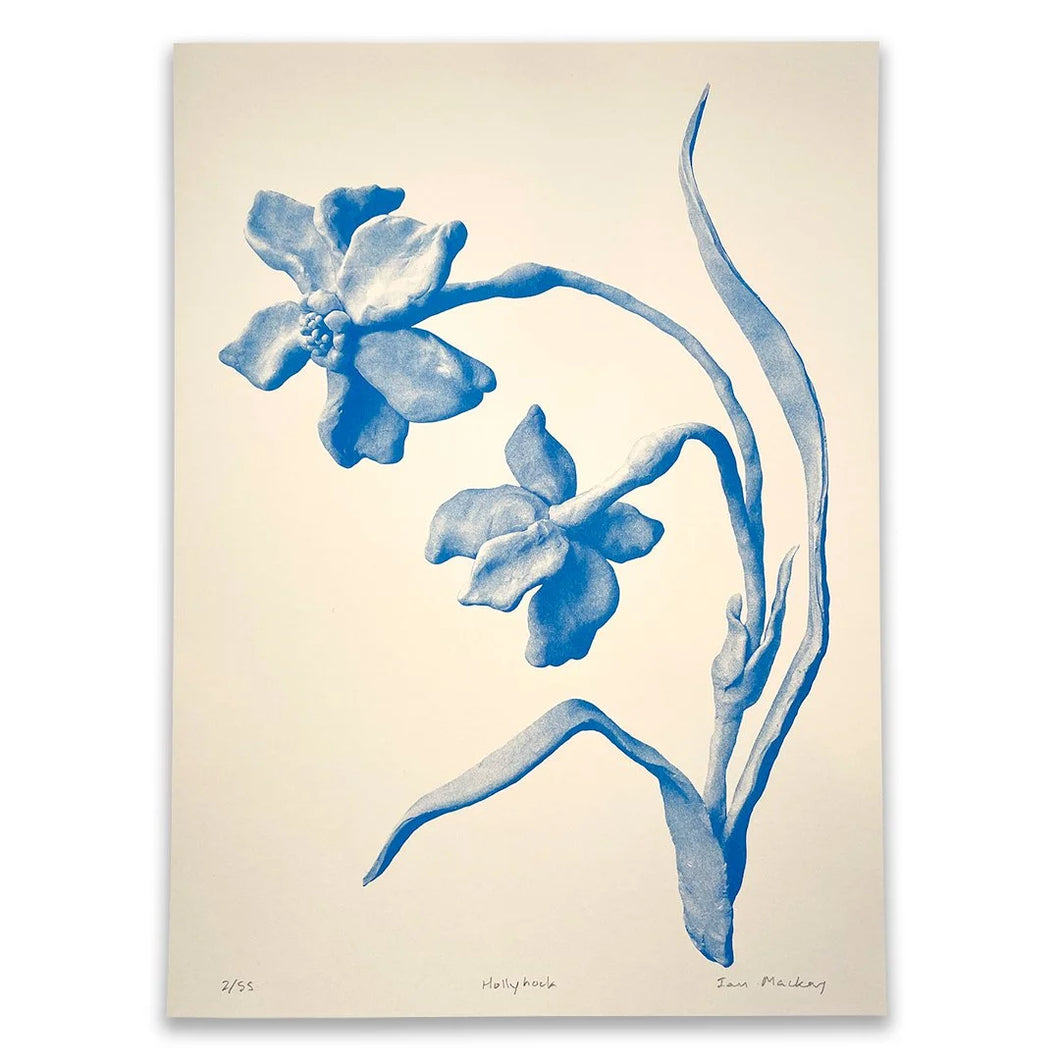 Hi-Bred :: Blue Hollyhock