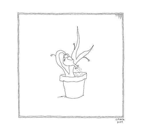 Plant Letterpress Print