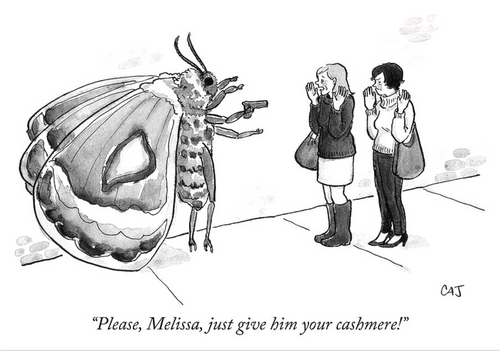 Please, Melissa, just give him your cashmere! (by Carolita Johnson)
