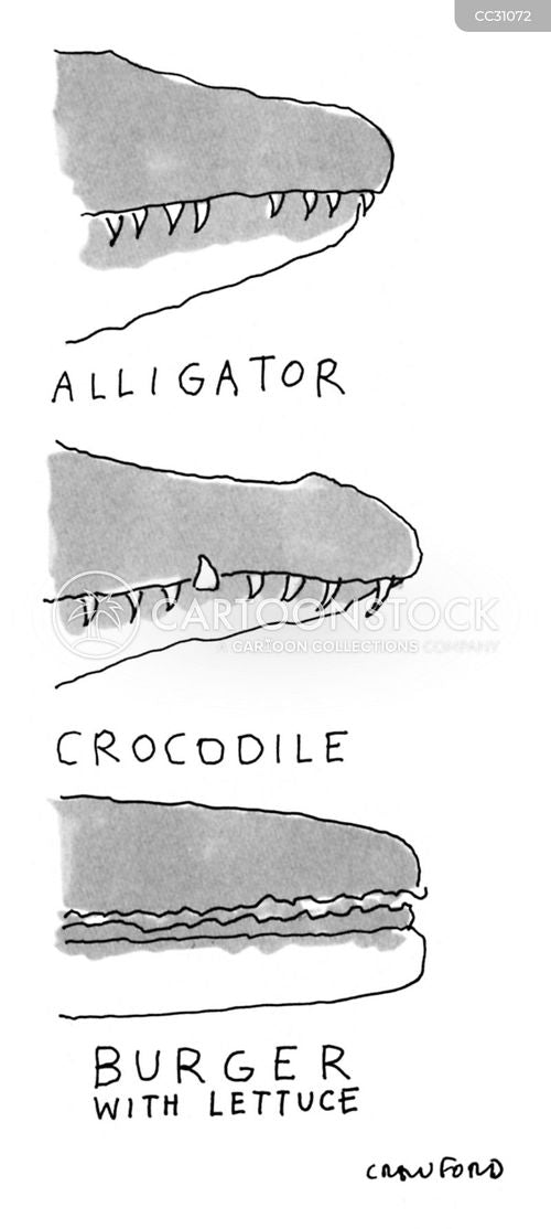 Michael Crawford :: Alligator, Crocodile, Burger With Lettuce
