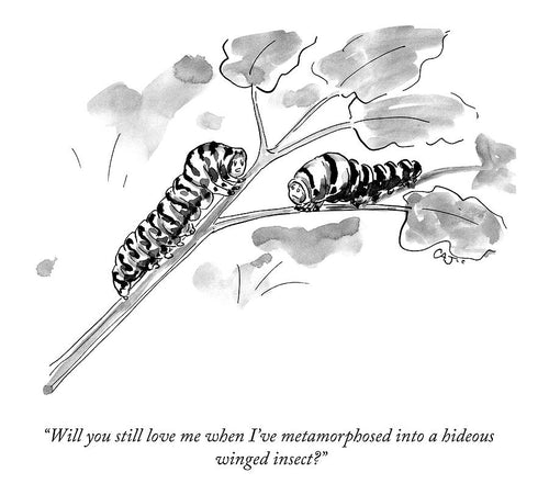 Will you still love me when I've metamorphosed into a hideous winged insect? (by Carolita Johnson)