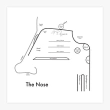 anatomy_the_nose.jpg