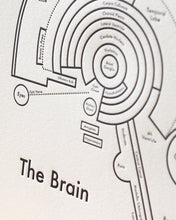 The Brain Print