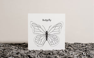 Butterfly Map Print