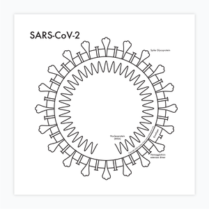 SARS-CoV-19