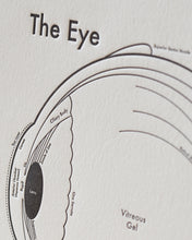 The Eye Print