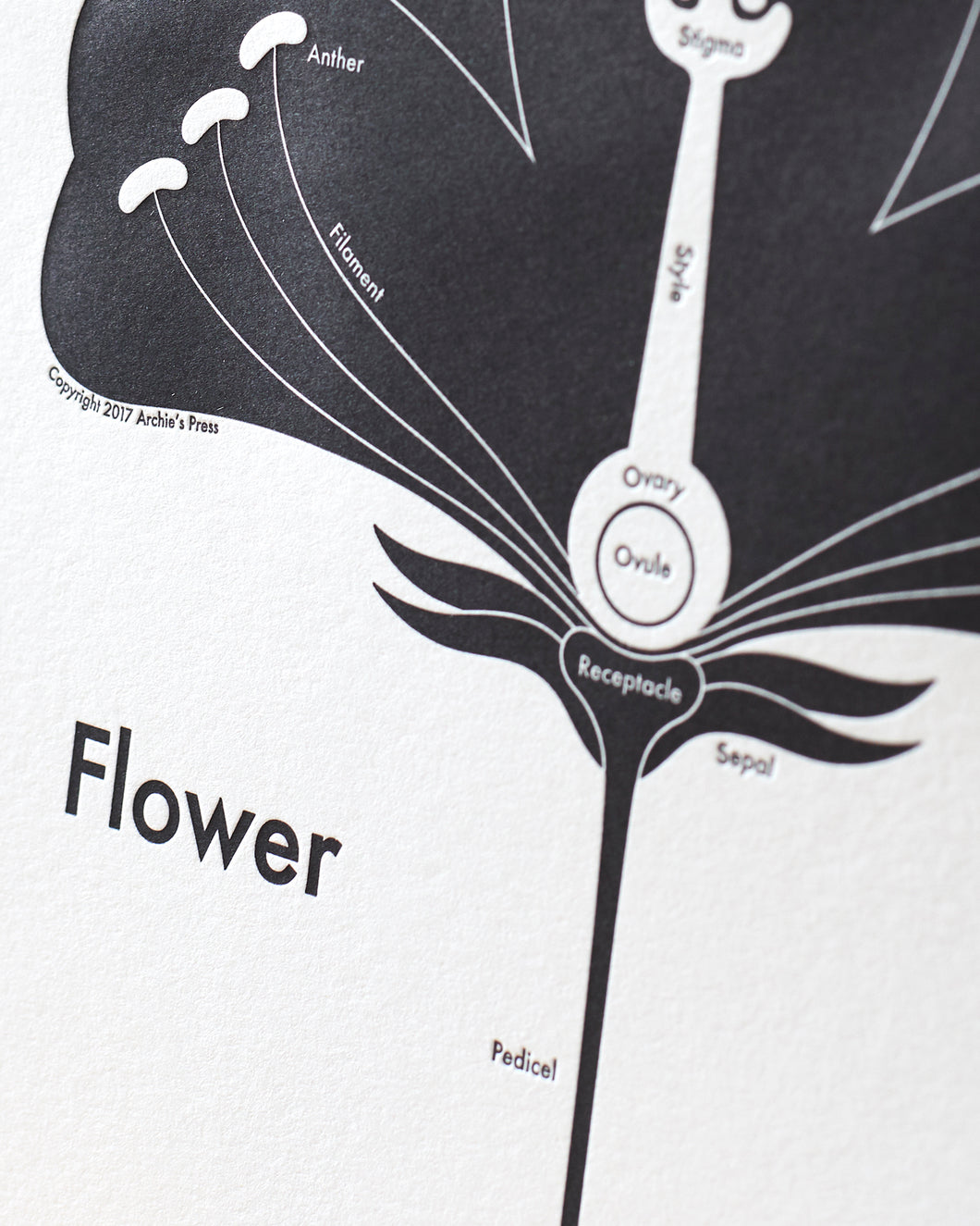 Flower Print
