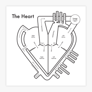 The Heart Print