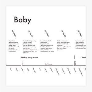 Baby Tracking Chart